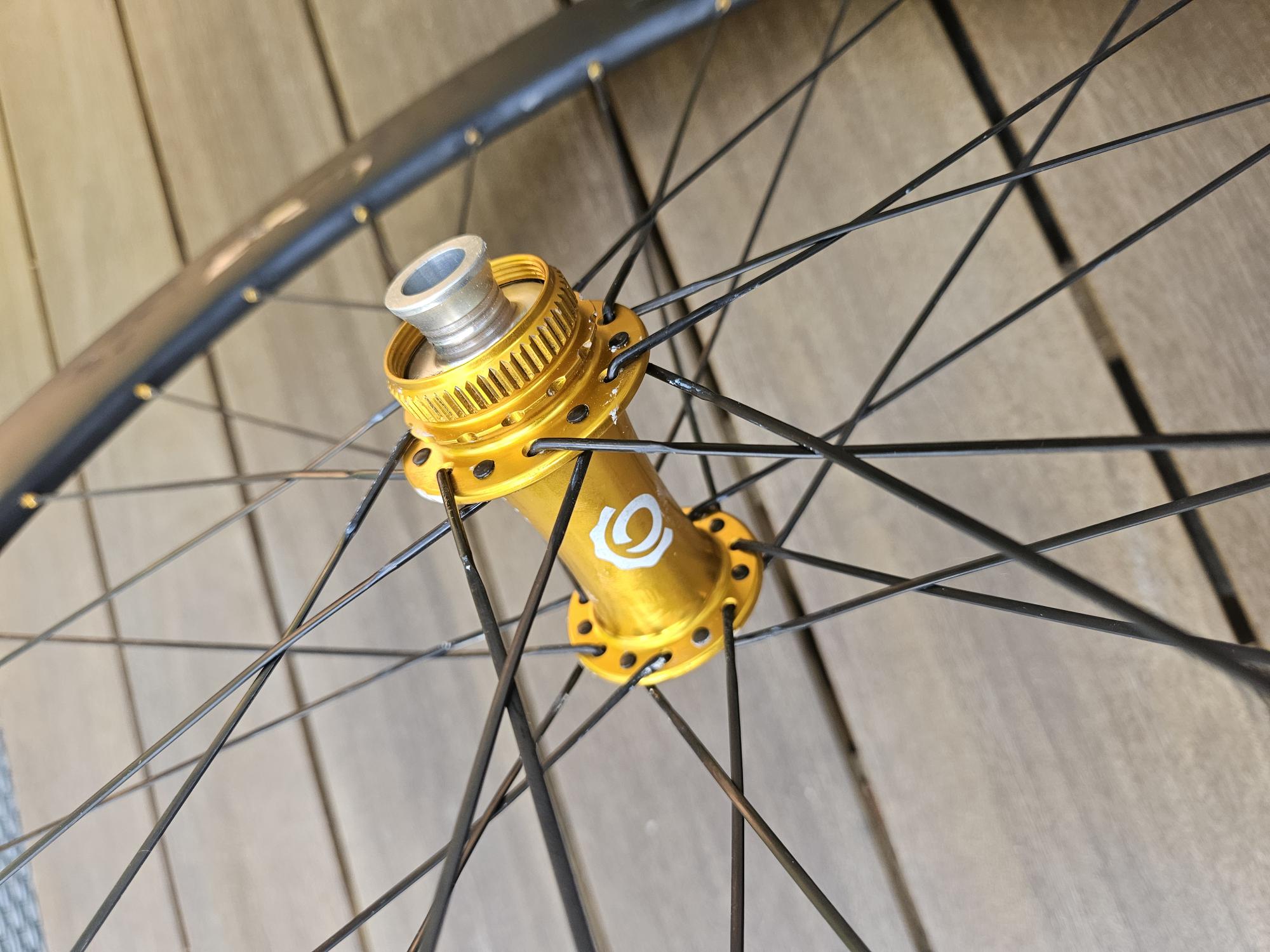 (image for) Carolina 6.0 and Gold Industry 9 Torch with Sapim CX Xray Spokes