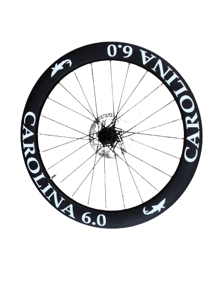 (image for) Carolina 6.0