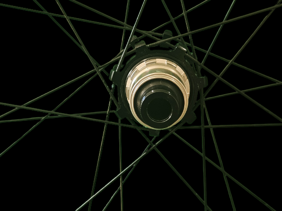 Sapim Spokes